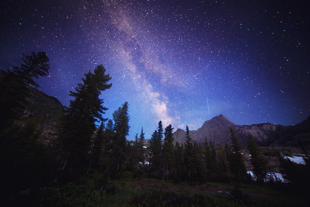 The,Milky,Way,And,Some,Trees.,In,The,Mountains,Of