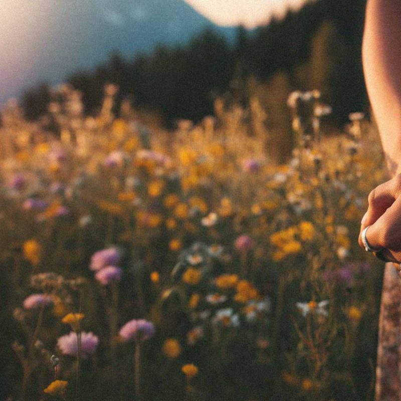 Eternal-Sunshine-category-banner-image